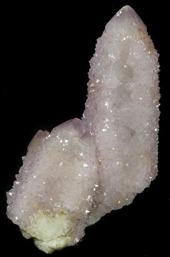 Cactus Quartz (Amethyst) Crystals - South Africa #34964